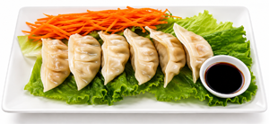 Chicken Dumpling ($6.99)